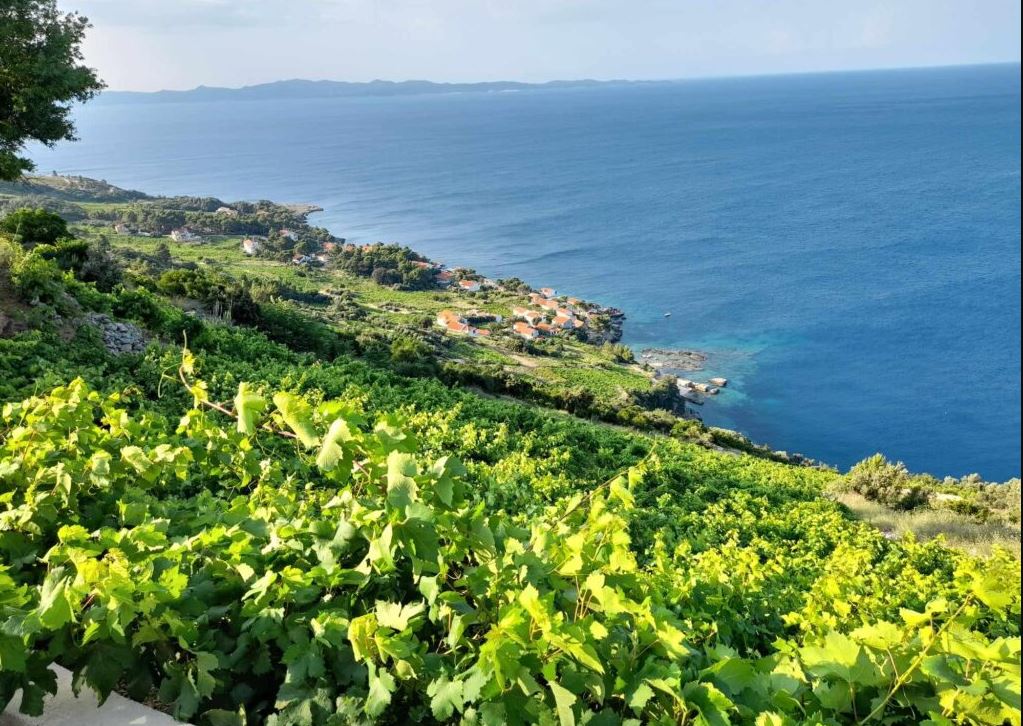 Apartamenty na Pelješac noclegi z obsługą po polsku