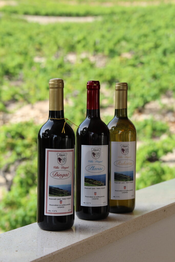 Apartamenty na Pelješac noclegi z obsługą po polsku. Chorwacja