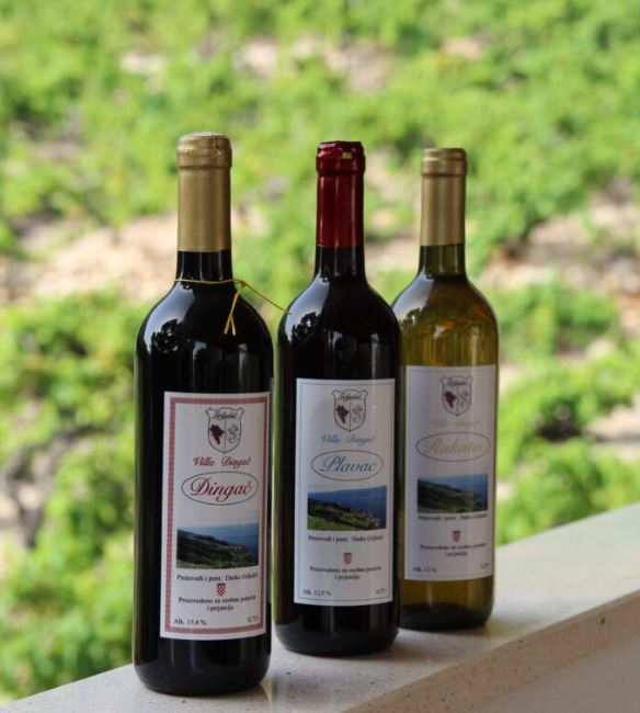Półwysep Pelješac -atrakcje wino Dingac