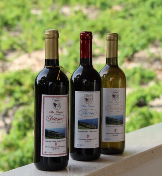 Dingač tunel Dingač najkrótsza droga do najlepszych win Pelješaca