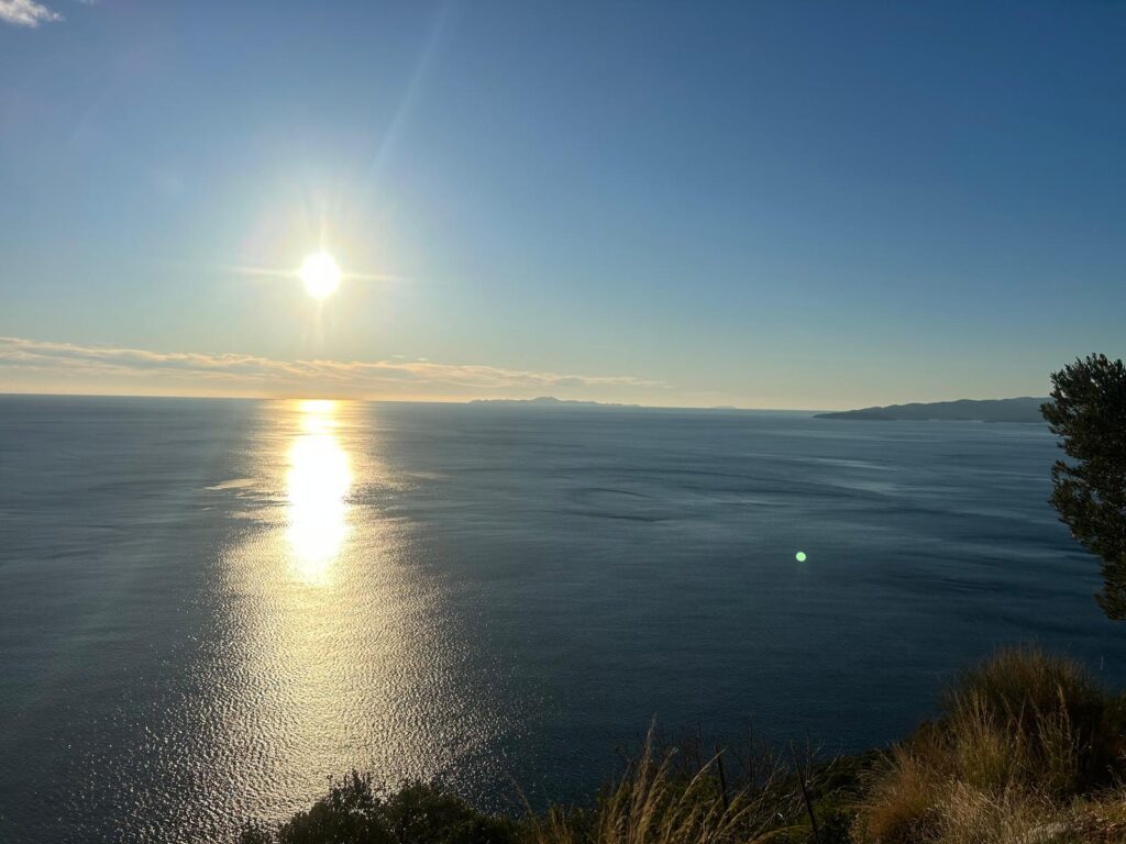 Półwysep Pelješac z psem – Gdzie wakacje w Chorwacji z psem