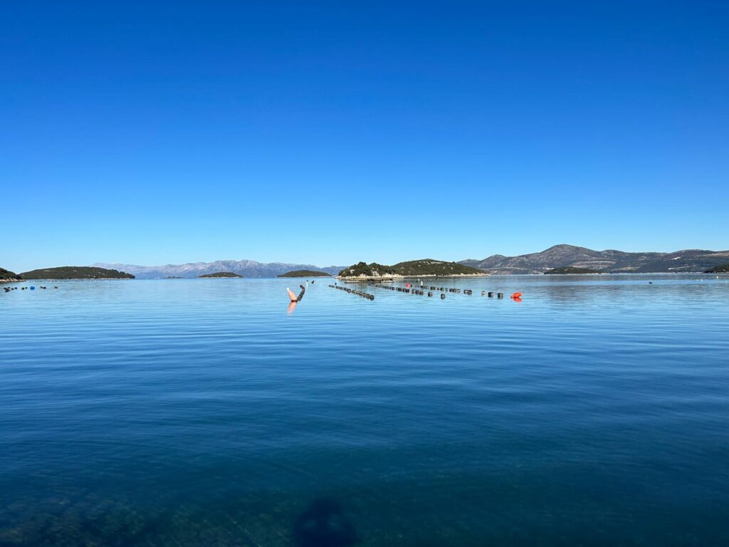 Południowa Dalmacja wakacje w Chorwacji
